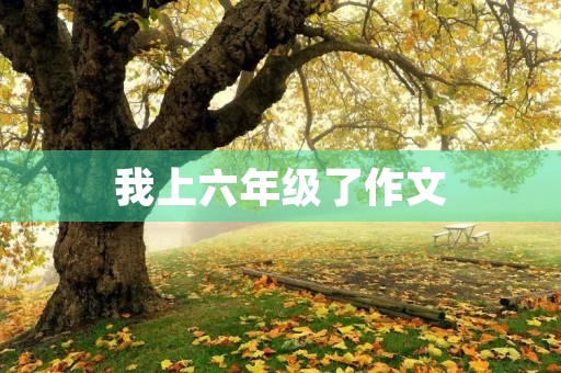 我上六年级了作文