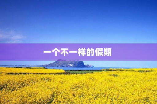 一个不一样的假期 