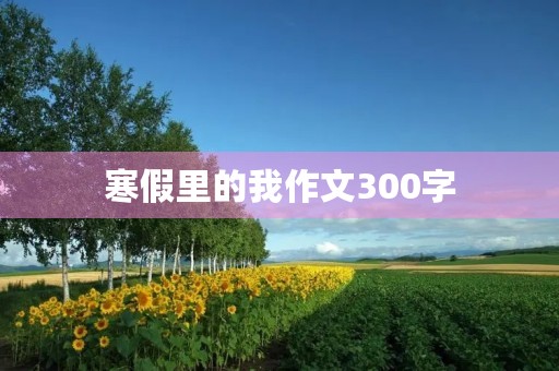 寒假里的我作文300字 寒假里的我作文300字