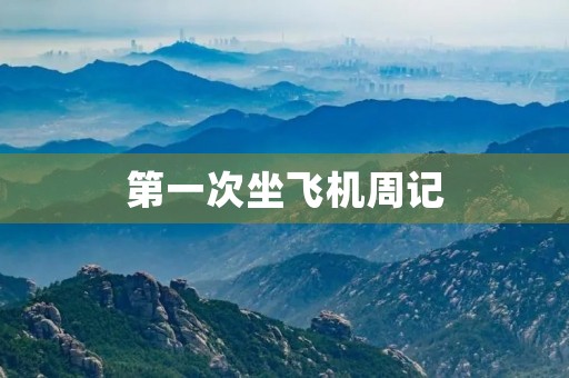 第一次坐飞机周记 第一次坐飞机周记