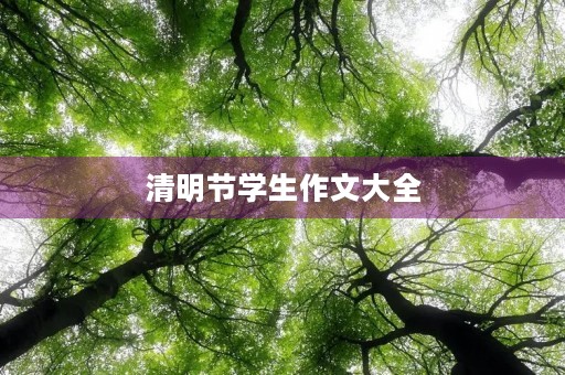 清明节学生作文大全 清明节学生作文大全