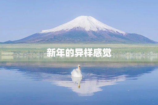 新年的异样感觉 新年的异样感觉