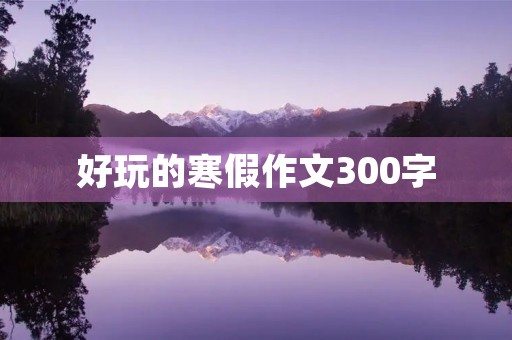 好玩的寒假作文300字 好玩的寒假作文300字