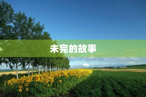 未完的故事