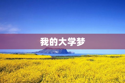 我的大学梦 我的大学梦