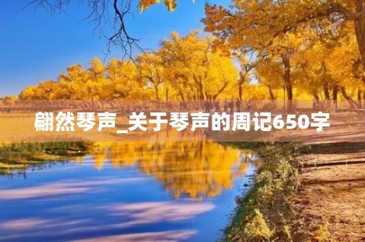 翩然琴声_关于琴声的周记650字 翩然琴声_关于琴声的周记650字