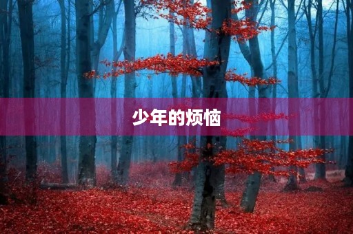 少年的烦恼