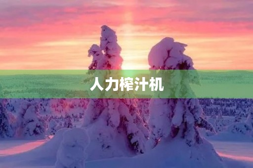 人力榨汁机 人力榨汁机