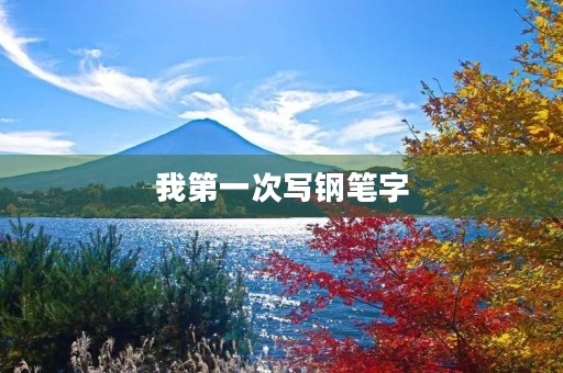 我第一次写钢笔字