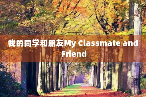 我的同学和朋友My Clas**ate and Friend