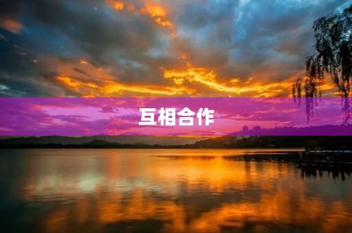 互相合作 互相合作