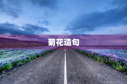 菊花造句