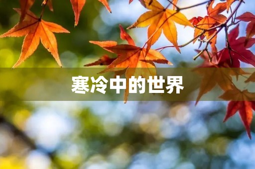 寒冷中的世界 寒冷中的世界