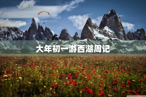 大年初一游西湖周记 大年初一游西湖周记