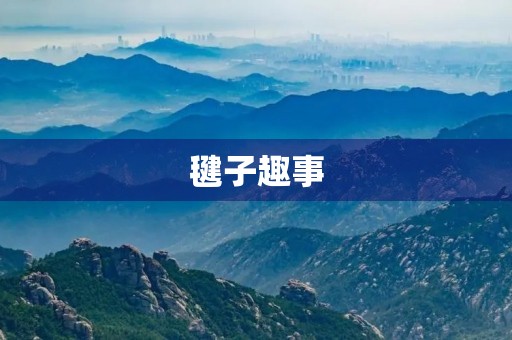 毽子趣事 毽子趣事