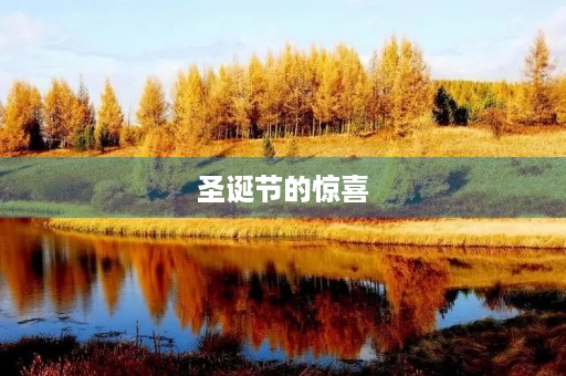 圣诞节的惊喜