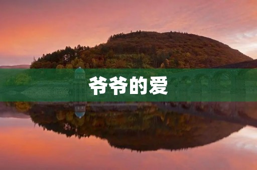 爷爷的爱
