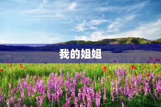 我的姐姐