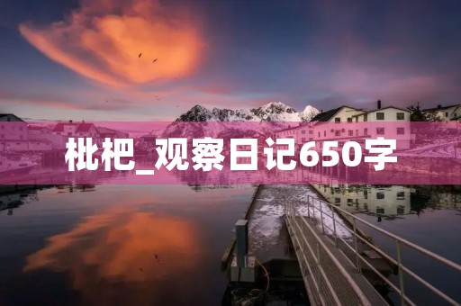 枇杷_观察日记650字