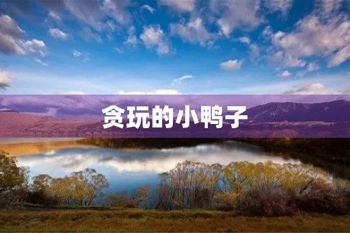 贪玩的小鸭子 贪玩的小鸭子