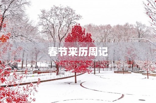 春节来历周记