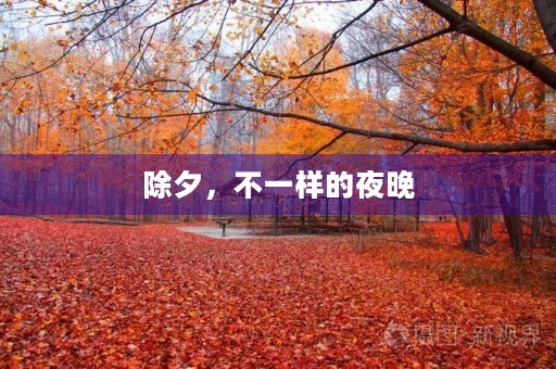 除夕,不一样的夜晚 除夕,不一样的夜晚