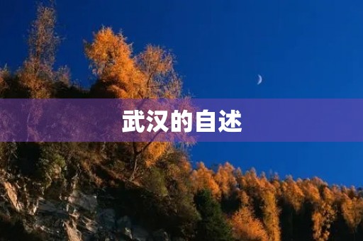 武汉的自述
