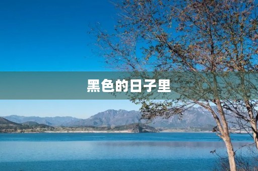 黑色的日子里 黑色的日子里