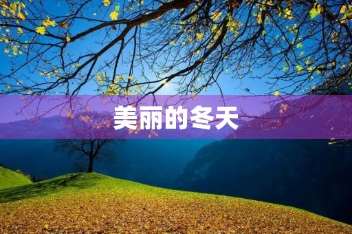 美丽的冬天 美丽的冬天