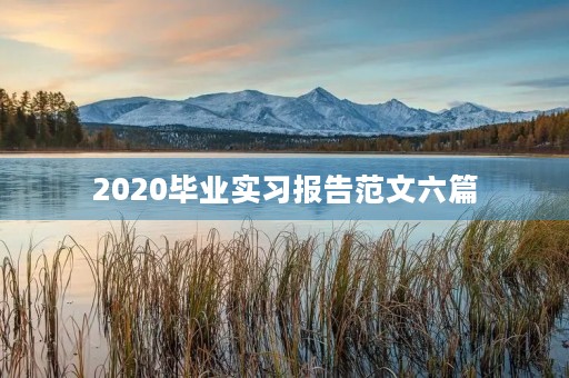 2020毕业实习报告范文六篇 2020毕业实习报告范文六篇