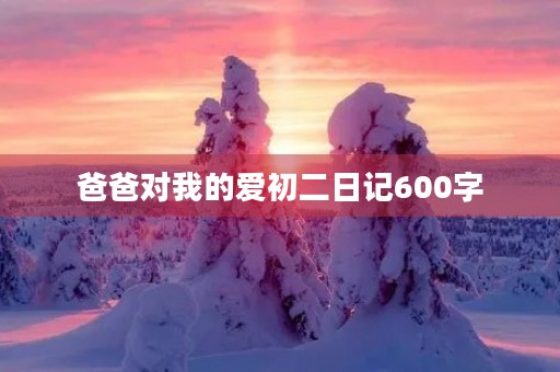 爸爸对我的爱初二日记600字 爸爸对我的爱初二日记600字