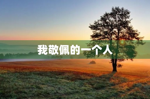 我敬佩的一个人