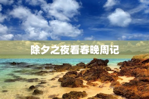 除夕之夜看春晚周记