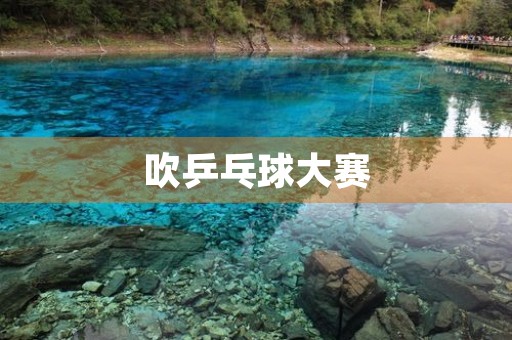 吹乒乓球大赛 吹乒乓球大赛