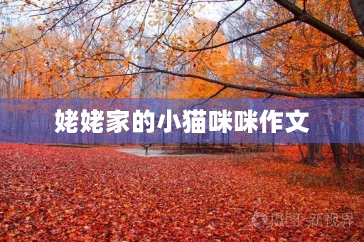 姥姥家的小猫**作文