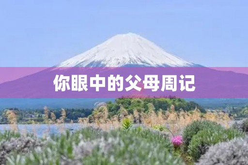 你眼中的父母周记 你眼中的父母周记