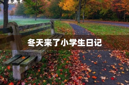 冬天来了小学生日记 冬天来了小学生日记