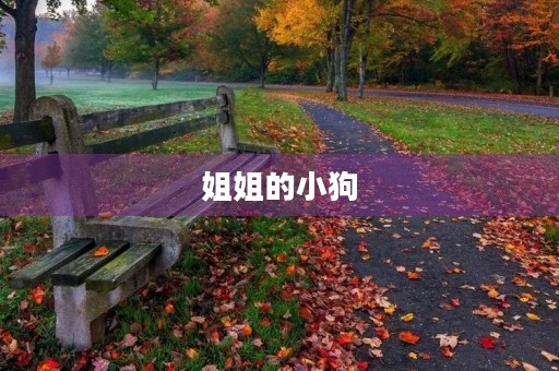 姐姐的小狗 姐姐的小狗