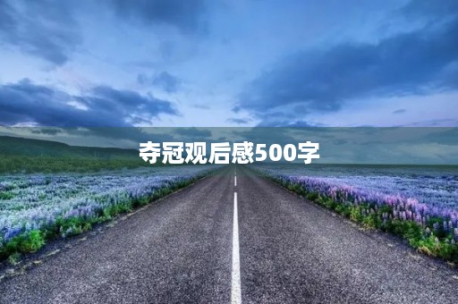 夺冠观后感500字