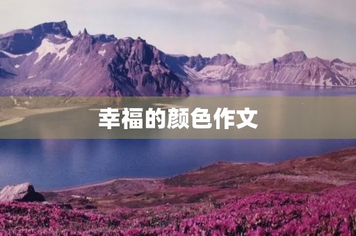 幸福的颜色作文