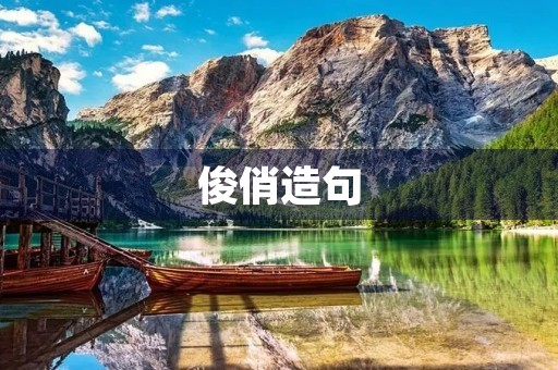 俊俏造句
