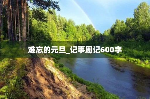 难忘的元旦_记事周记600字