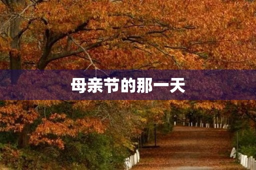 母亲节的那一天 母亲节的那一天