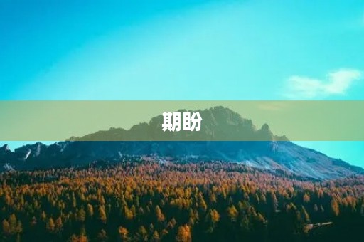期盼 期盼