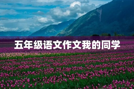 五年级语文作文我的同学 五年级语文作文我的同学