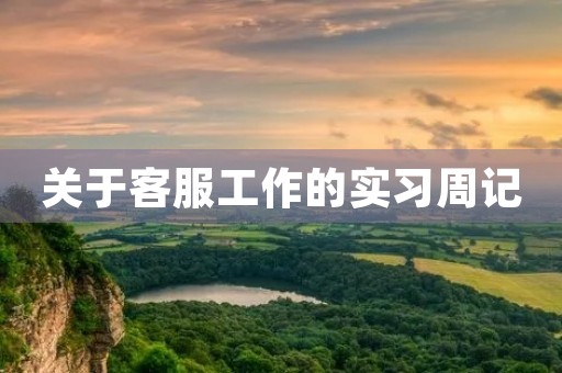 关于客服工作的实习周记