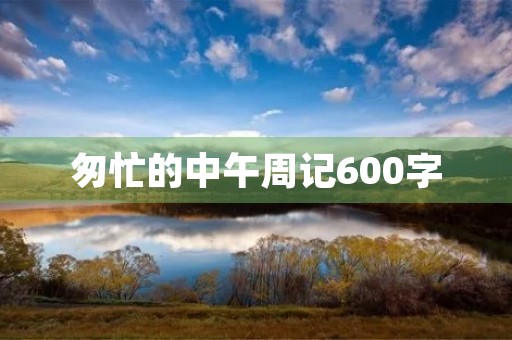 匆忙的中午周记600字