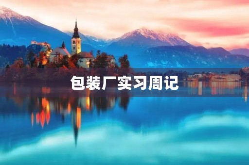 包装厂实习周记