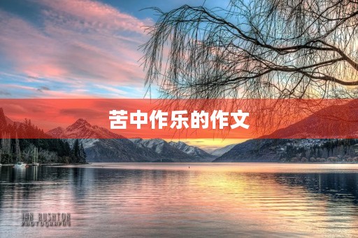 苦中作乐的作文
