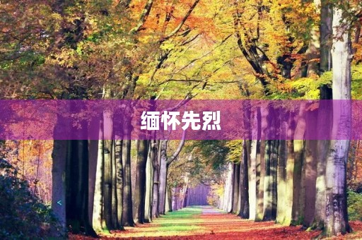 缅怀先烈 缅怀先烈